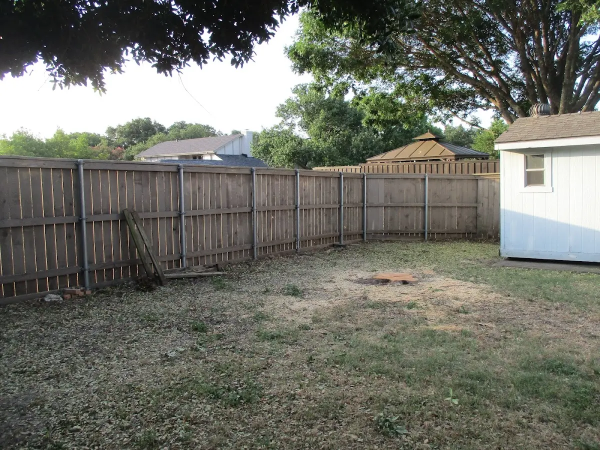Cleared yard after professional tree removal in Tishomingo